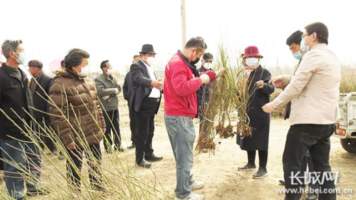 洚河流镇最新发展动态，发展与变化的步伐稳步前行