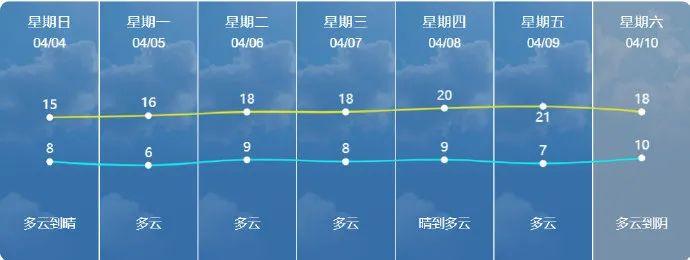 大公镇最新招聘信息详解及解读