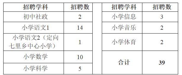 柯城区小学最新招聘启事概览