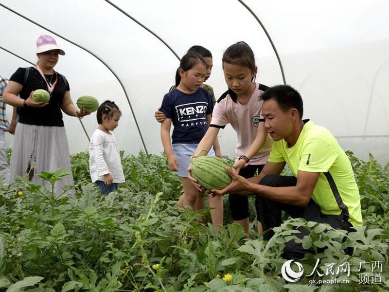 广西农垦国有昌菱农场最新项目探索与前瞻报道