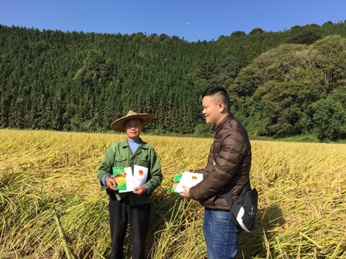 顺昌县水利局最新项目，推动水利建设，助力县域发展