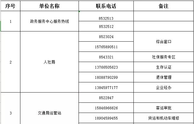 肇东市数据和政务服务局最新发展规划深度探讨