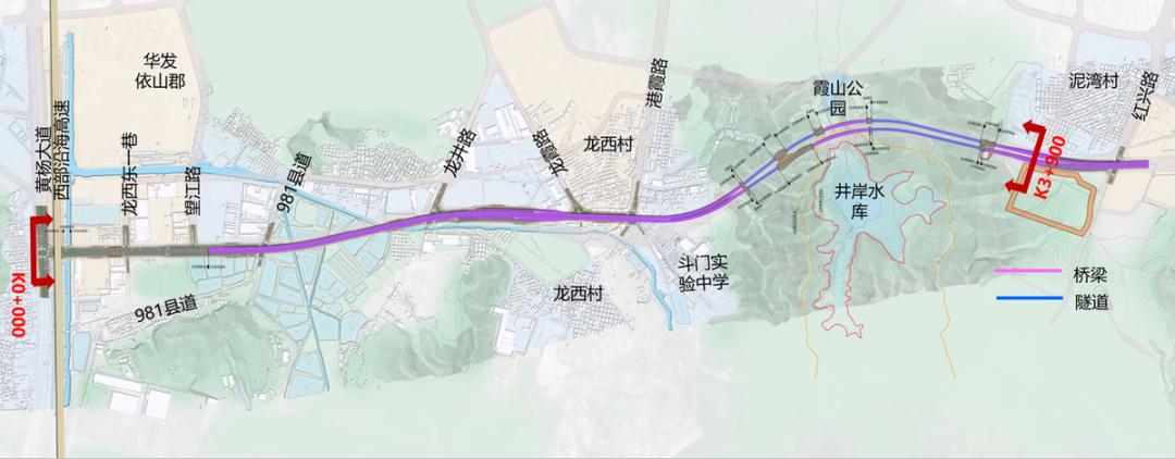 新青区市场监督管理局启动新项目，推动市场监管现代化助力经济发展新篇章