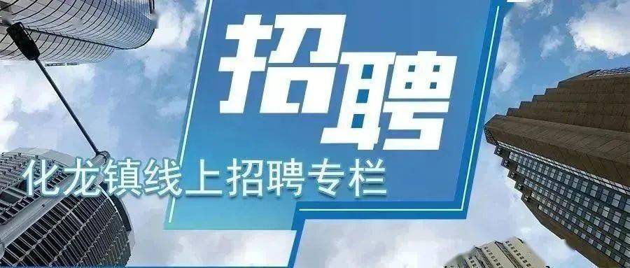 勐龙镇最新招聘信息全面解析