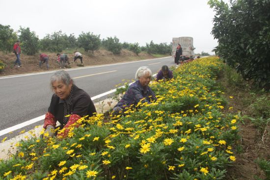 平滩镇最新新闻报道