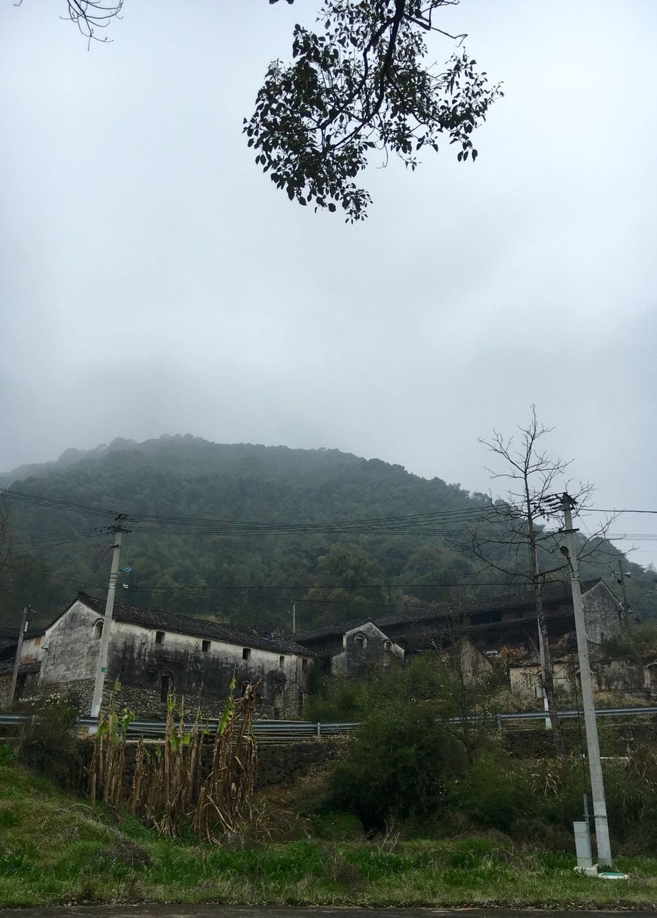 前北山村委会天气预报更新通知