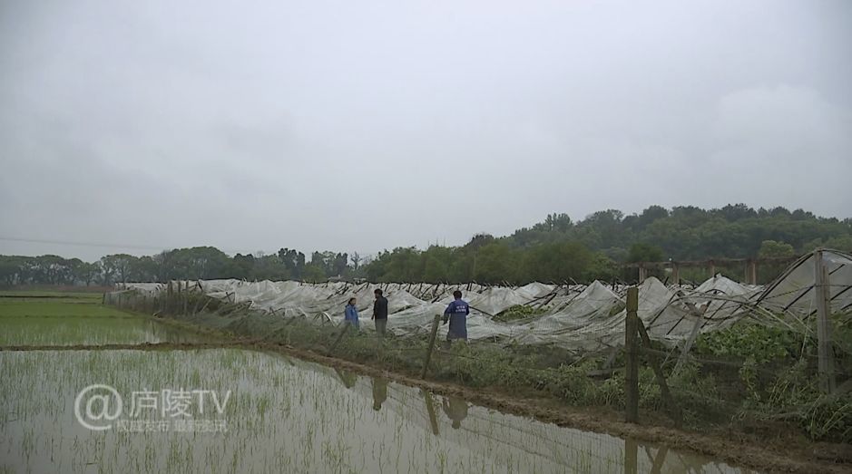 涔澹农场天气预报更新通知