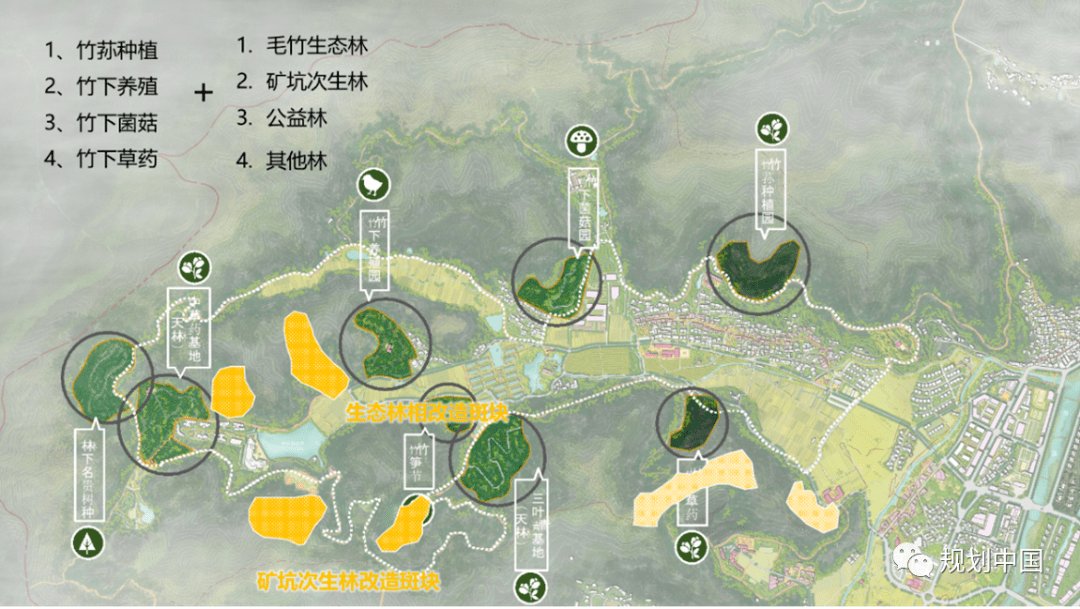 林下林场最新发展规划，探索路径与未来展望