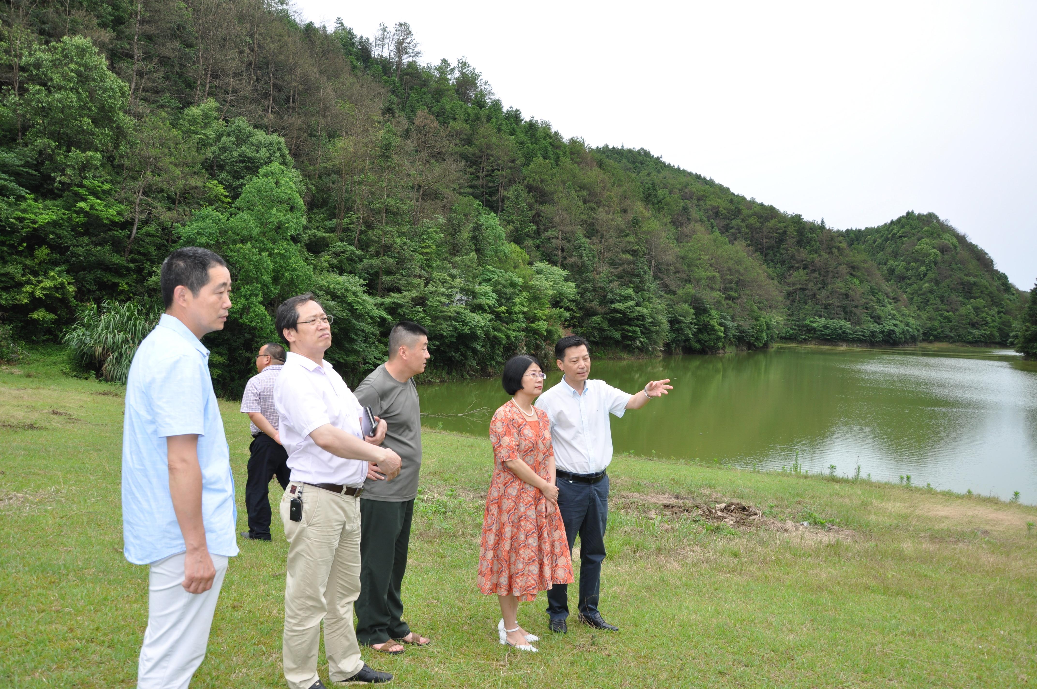 黄山市水利局最新发展规划概览