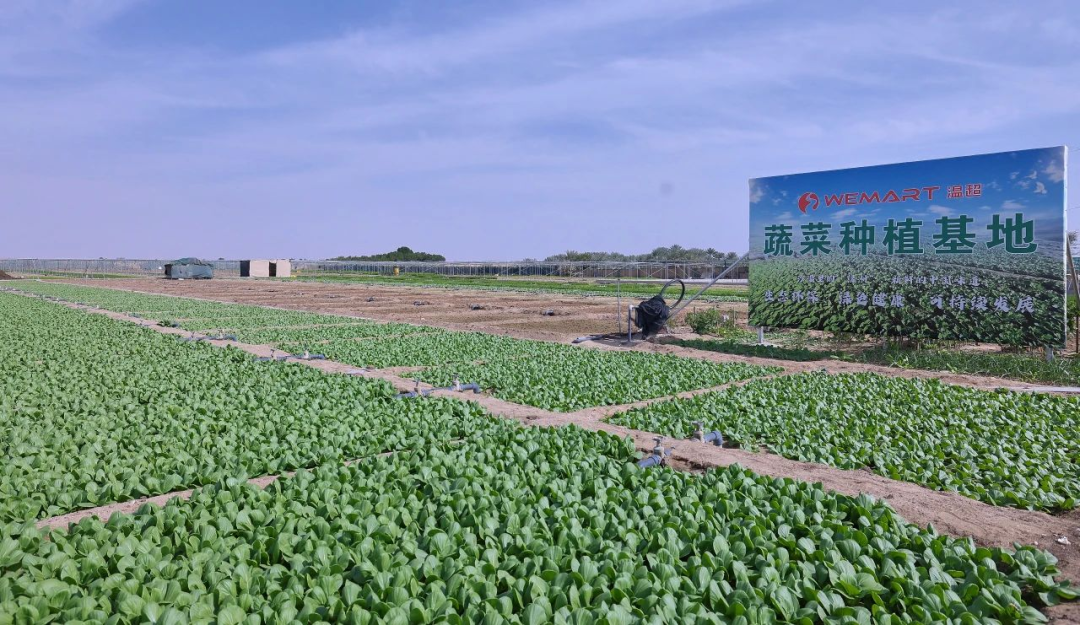 复兴圩农场交通最新动态