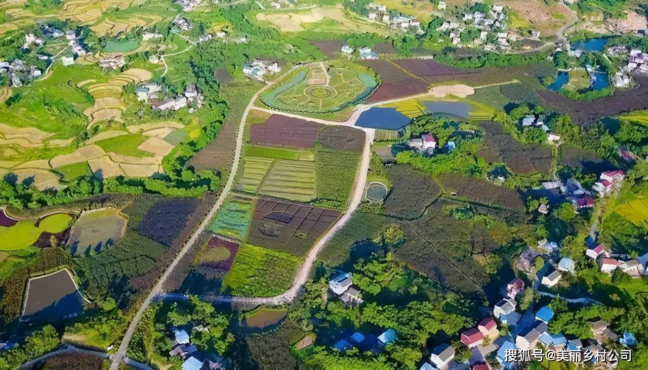 阳江林场宝山分场发展规划展望