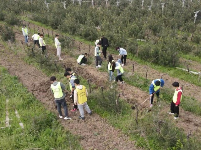 李树乡最新交通动态