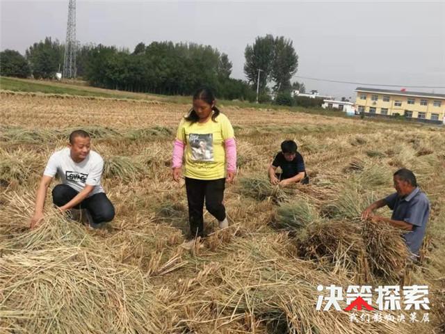 桐柏县小学创新项目，引领教育未来，培育未来之星