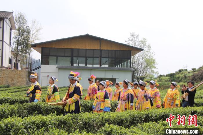 马家山茶场村委会招聘启事概览