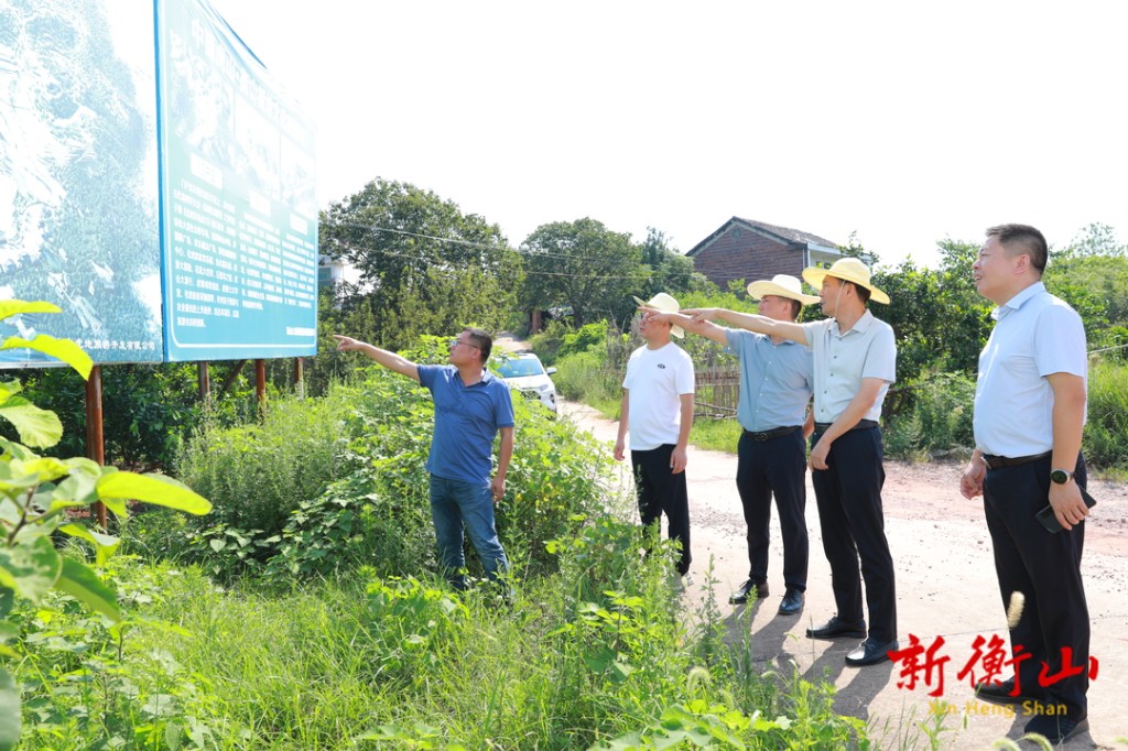 衡山县农业农村局新项目推动农业现代化，乡村振兴再添动力