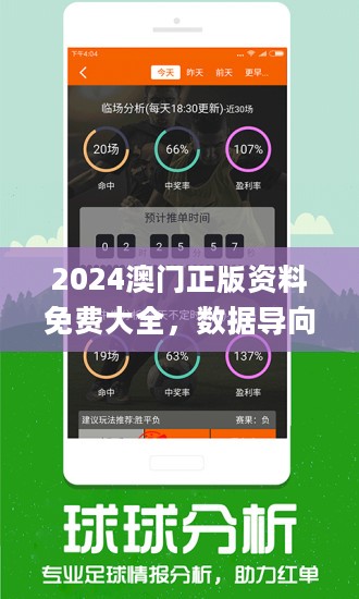 2024年新澳门王中王免费,精细计划化执行_专业版14.748