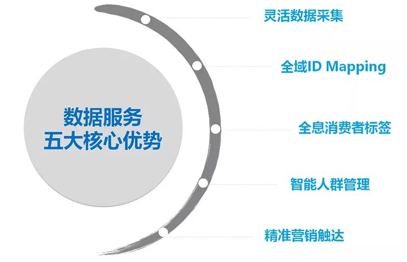 管家婆精准资料免费大全香港,数据整合策略解析_Advanced93.673