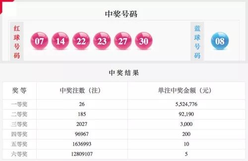 澳门王中王100的资料论坛,动态解析词汇_专业款26.67