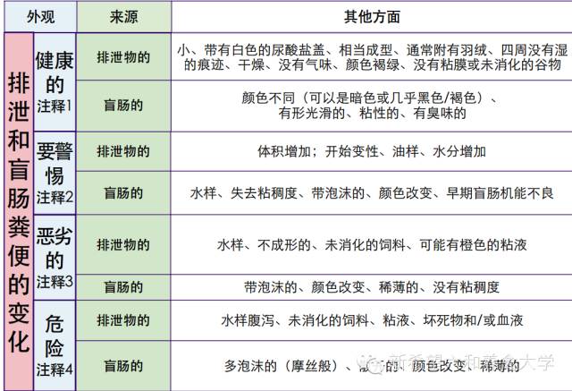 2024澳门天天开好彩大全开奖记录走势图,权威分析说明_安卓版28.732