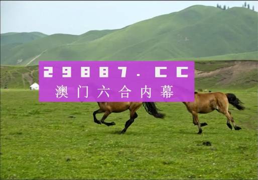 澳门天天彩期期精准龙门客栈,专业解析说明_旗舰版48.57.81