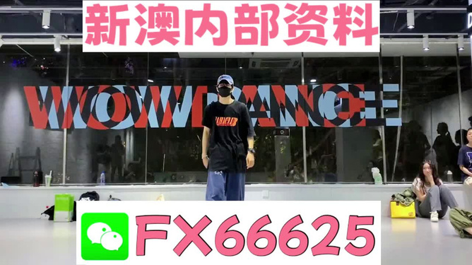 新澳门精准资料大全管家婆料,实证解答解释定义_旗舰版48.57.81