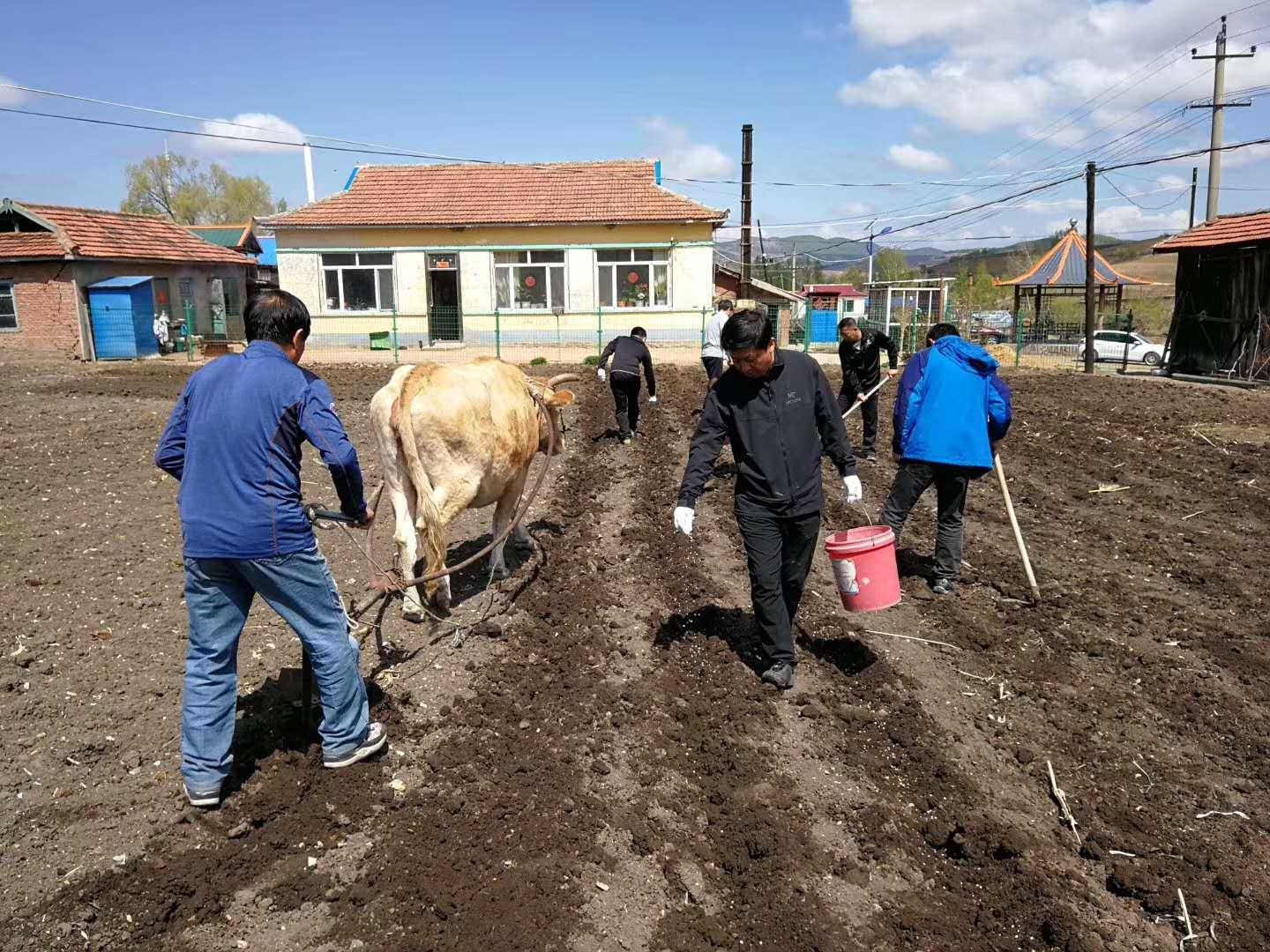 延边朝鲜族自治州市粮食局最新项目概览与动态分析