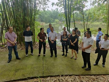 井研县水利局推动水利建设助力地方经济腾飞的新动态